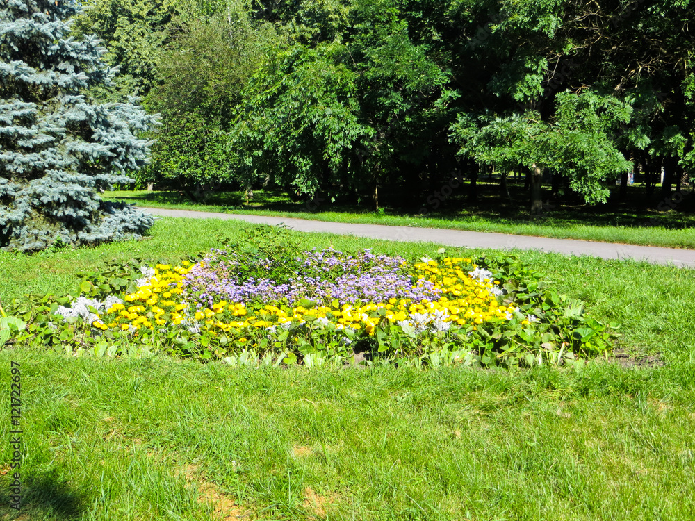 Obraz premium Flowerbed in a park