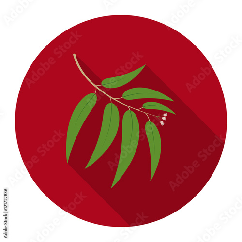 Eucalyptus vector icon in flat style for web