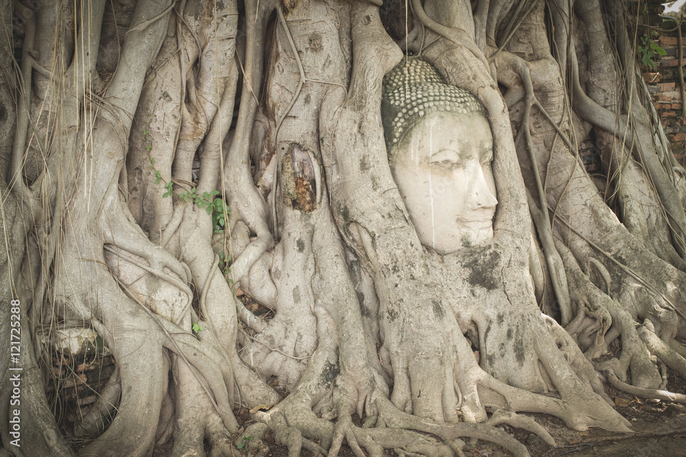 Ancient Buddha Statue in tree roots at Mahatat Temple, Ayuttaya,