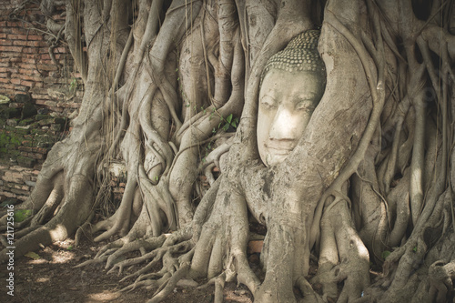 Ancient Buddha Statue in tree roots at Mahatat Temple, Ayuttaya,