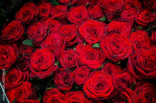 red rose flowers