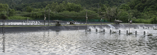 Water aeration turbine in farming aquatic. Shrimp and fish hatchery business in Thailand.