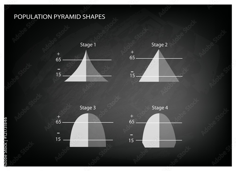 Four Types of Population Pyramids on Chalkboard Background - obrazy, fototapety, plakaty 