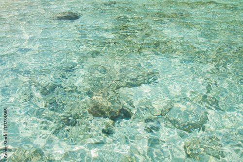 Crystal clear water of the tropical sea