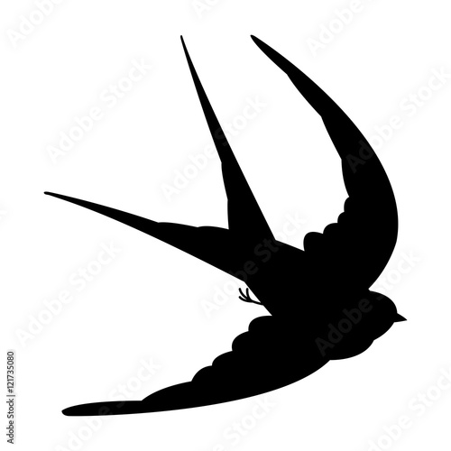 swallow in flight vector illustration black silhouette