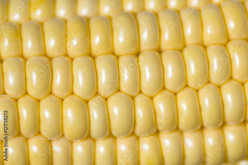 corn on the cob. closeup