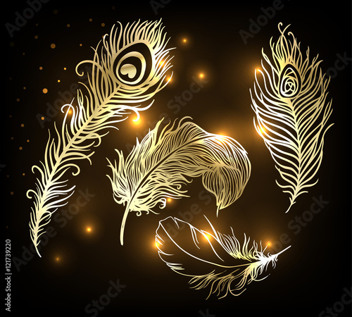 Shiny gold feather over dark background. Concept for temporary tattoo
