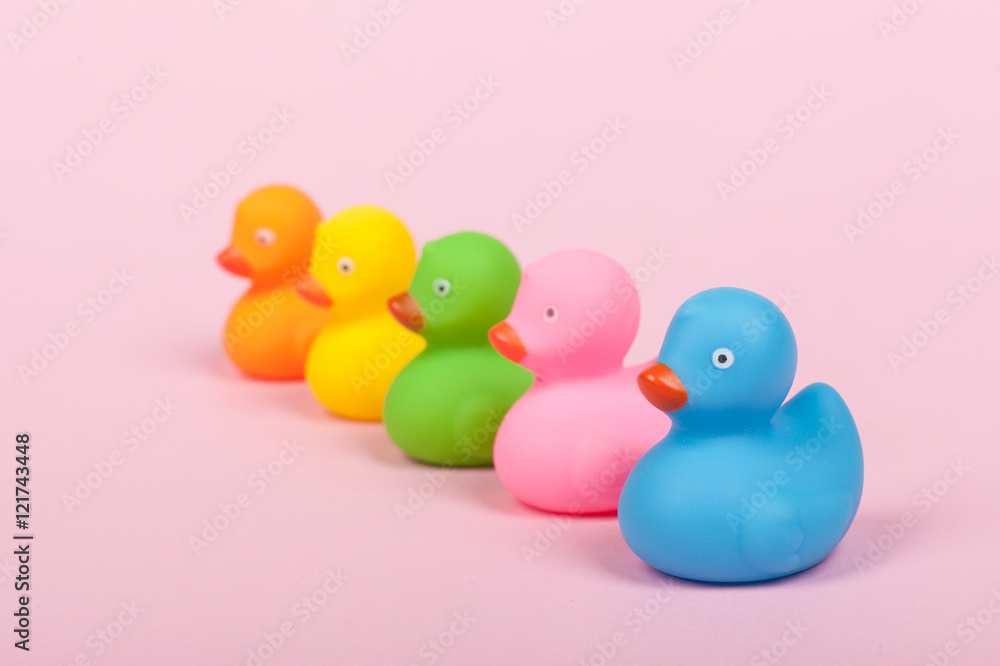 colorful rubber ducks on pink background colorful rubber ducks on pink background