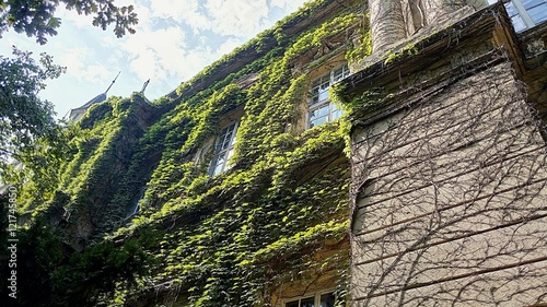 Photography Castle in Budapest braided grass