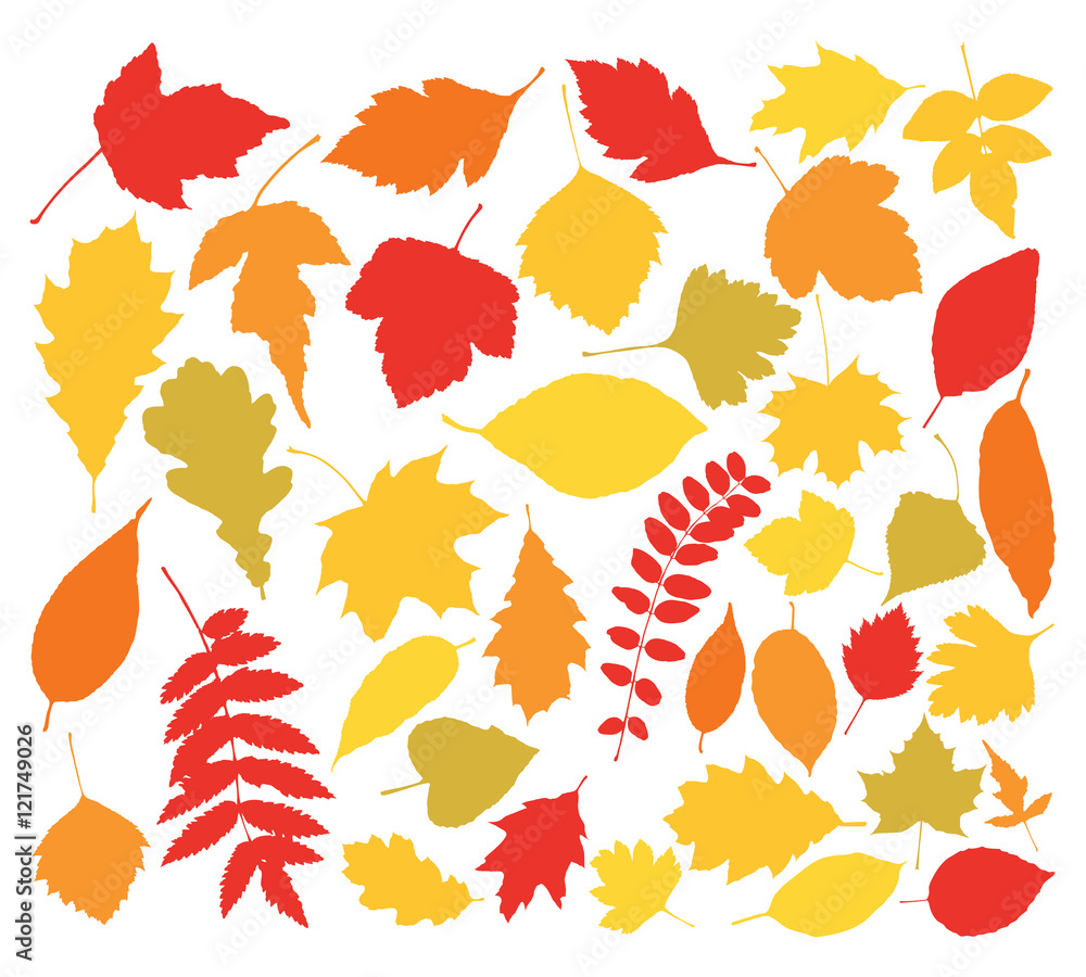 vector silhouettes of autumn leaves vector silhouettes of autumn leaves