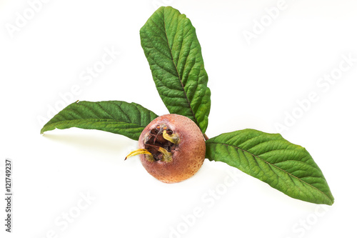 Common medlar (Mespilus) with leaves isolated on white background photo