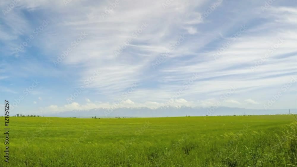 Field and mountains in the clouds Field and mountains in the clouds