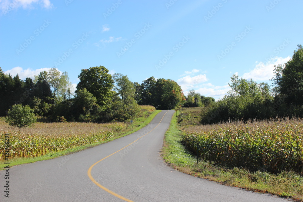 Country Road in Southern Quebec