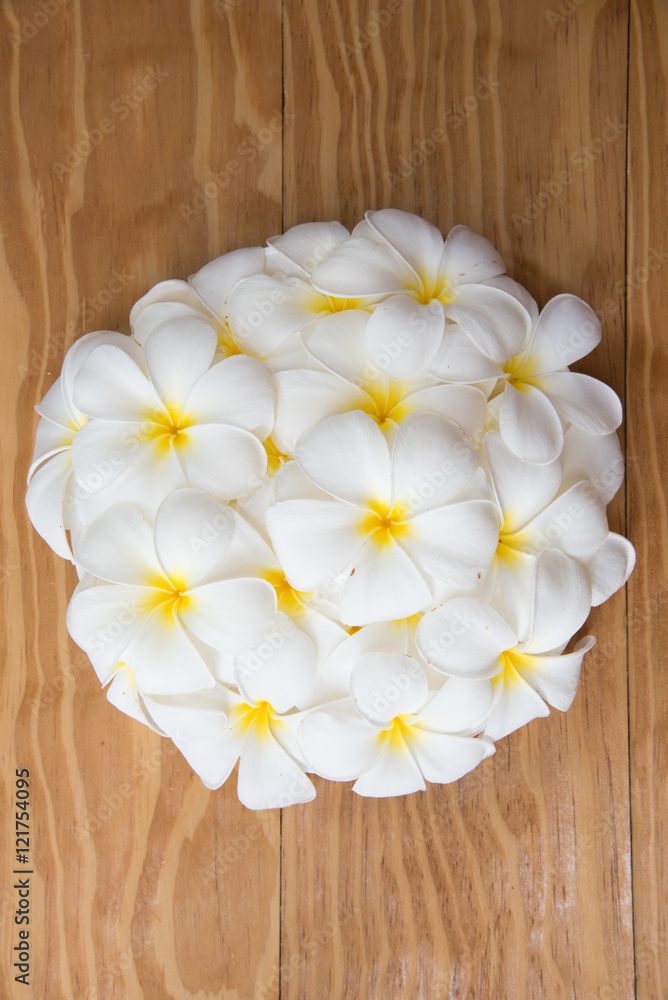 Obraz premium Frangipani background Wood