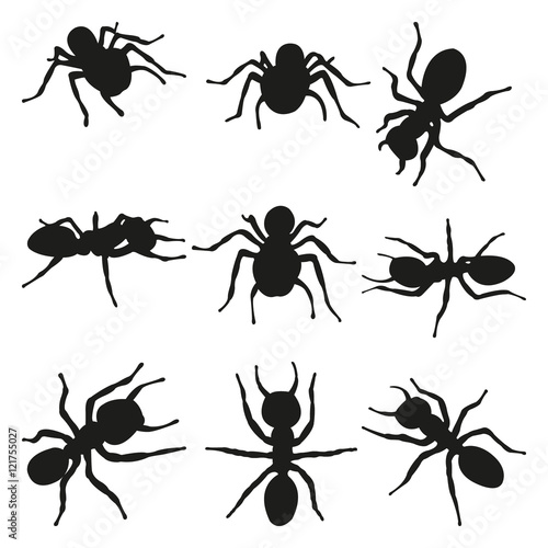 Spiders Vector Silhouettes