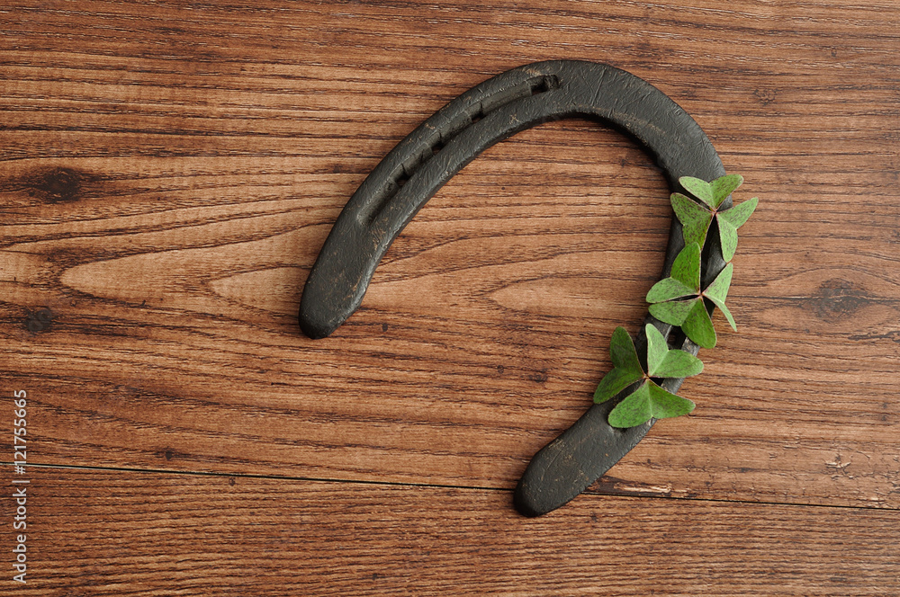A horse shoe displayed with clovers for St. Patrick's day A horse shoe displayed with clovers for St. Patrick's day