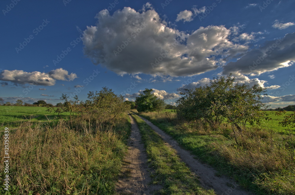 Weg bei Teltow-Ruhlsdorf Weg bei Teltow-Ruhlsdorf