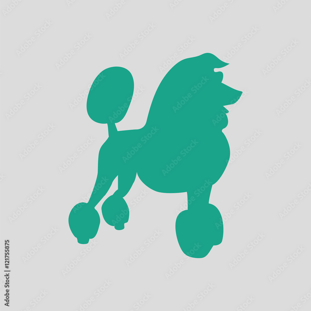Poodle icon Poodle icon