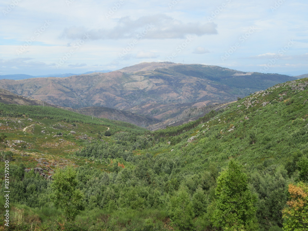 Green valley in mountain range
