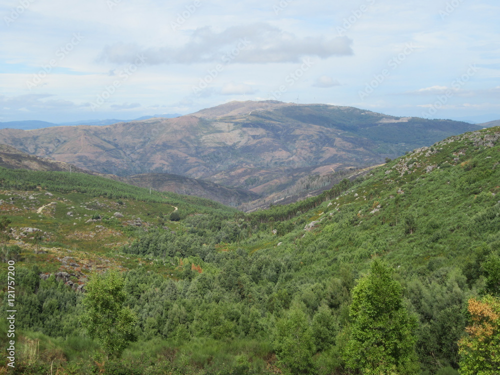 Green valley in mountain range Green valley in mountain range