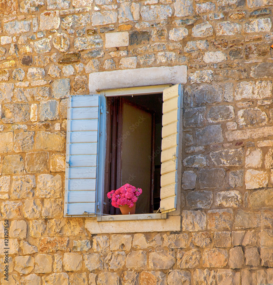 Flower pot on an open window