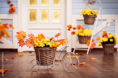 Decorative bicycle with basket with yellow leaves, flowers and autumn grapes berries on the wooden floor. Horizontal