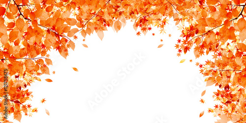 紅葉　秋　風景　背景