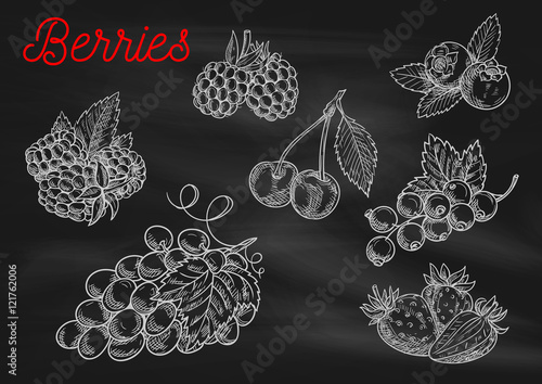 Berries chalk sketch icons on blackboard