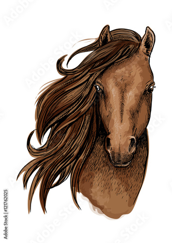 Brown mustang horse artistic portrait