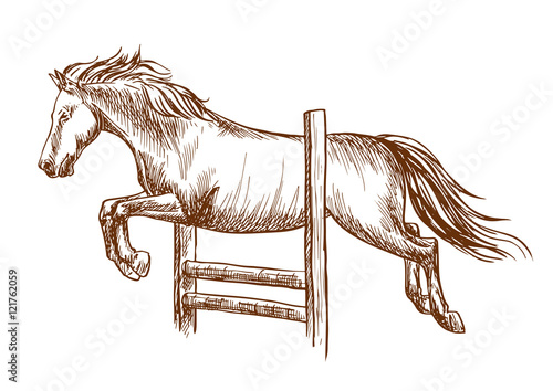 Wild horse horse jumping over barrier