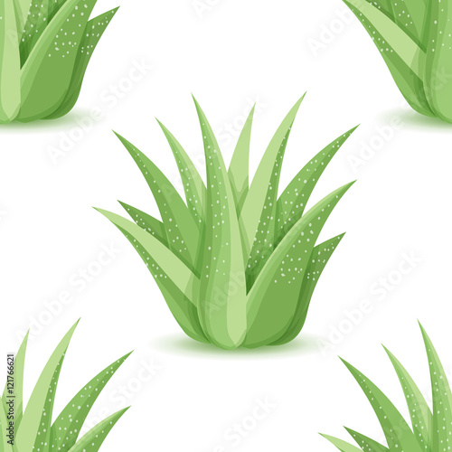 Agave - seamless pattern with desert plants. Nature floral background with green succulent leaf. Wallpaper with plantation of aloe. Vector illustration