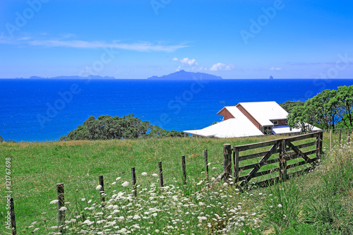 Scenic countryside and ocean view  New Zealand