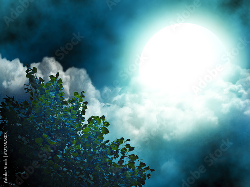Bright moon, illuminating the tree and the clouds. © Nika