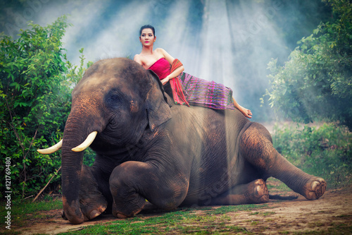 asian woman poses on elephant in the jungle