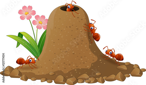 Cartoon ants colony and ant hill