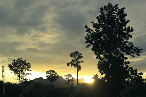 view of natural and sunlight evening in sunset.