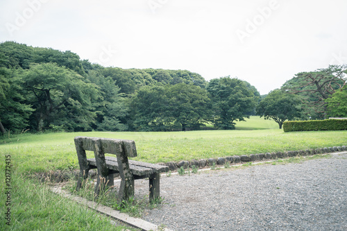 Scenery with the bench / Rest station of the park