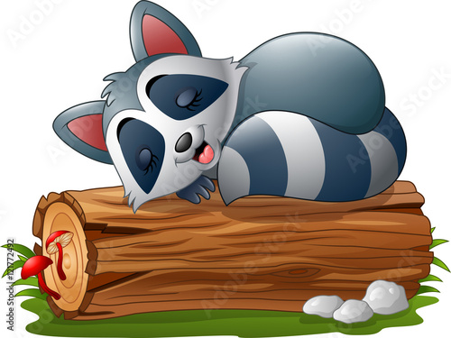 Cartoon raccoon sleeping on the tree log

