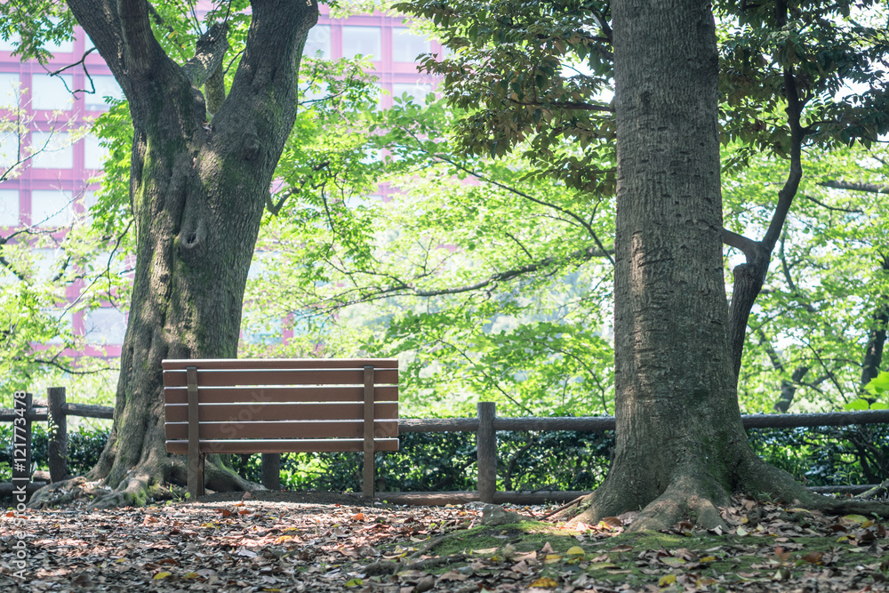 Scenery with the bench / Kitanomaru Park Scenery with the bench / Kitanomaru Park
