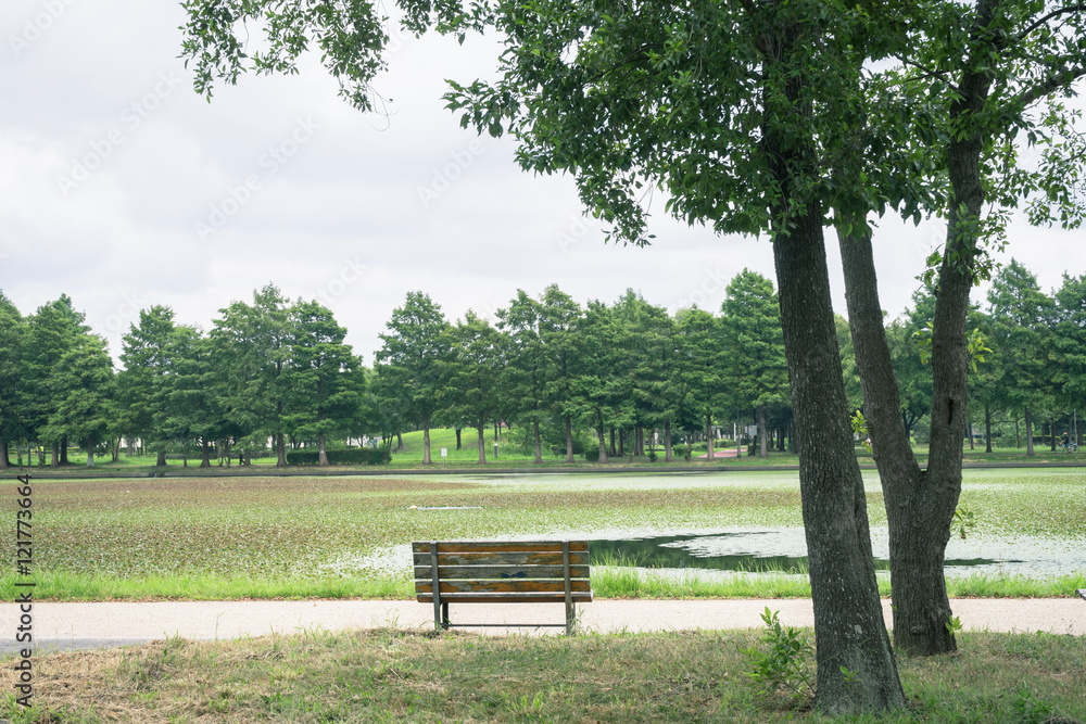 Scenery with the bench / Mizumoto Park