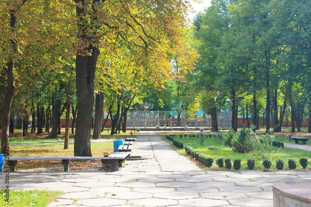 Beautiful autumn trees in city park 