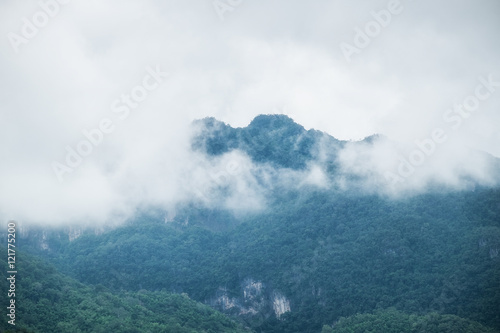 Mountain soft rain season in foggy