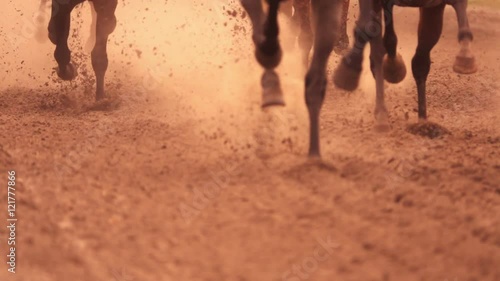 Horse racing. Legs of horses close-up. A lot of dirt under his hooves. Slow motion