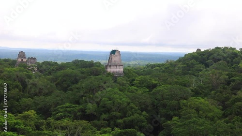 Panoramic view of rainforest and top of mayan temples at Tikal National Park - Guatemala