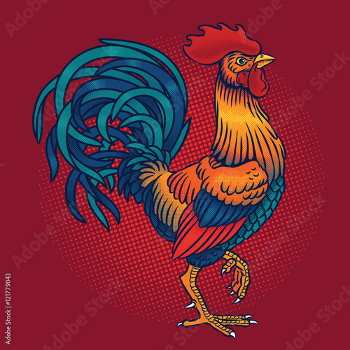 Vector illustration of a rooster