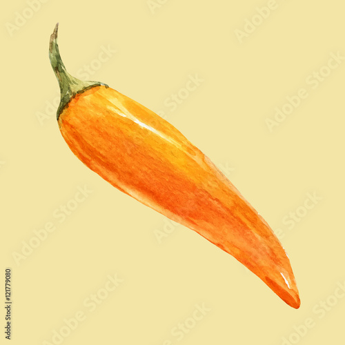 Watercolor hand drawn chilli