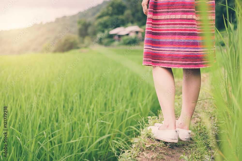 Woman traveler walking on green rice terraces field Woman traveler walking on green rice terraces field
