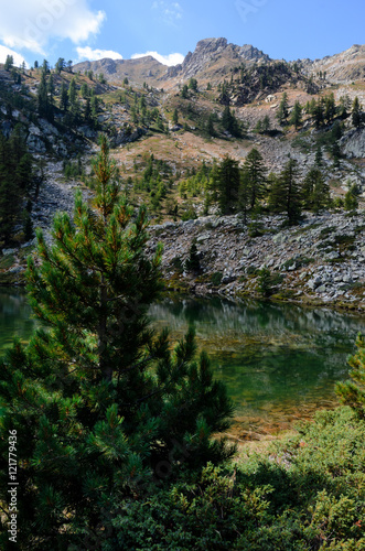 Fototapeta Naklejka Na Ścianę i Meble -  Larch tree and mountain lake Martel in the valley of Riofreddo, in Italy.