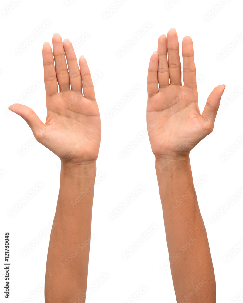 Fototapeta premium two woman hands