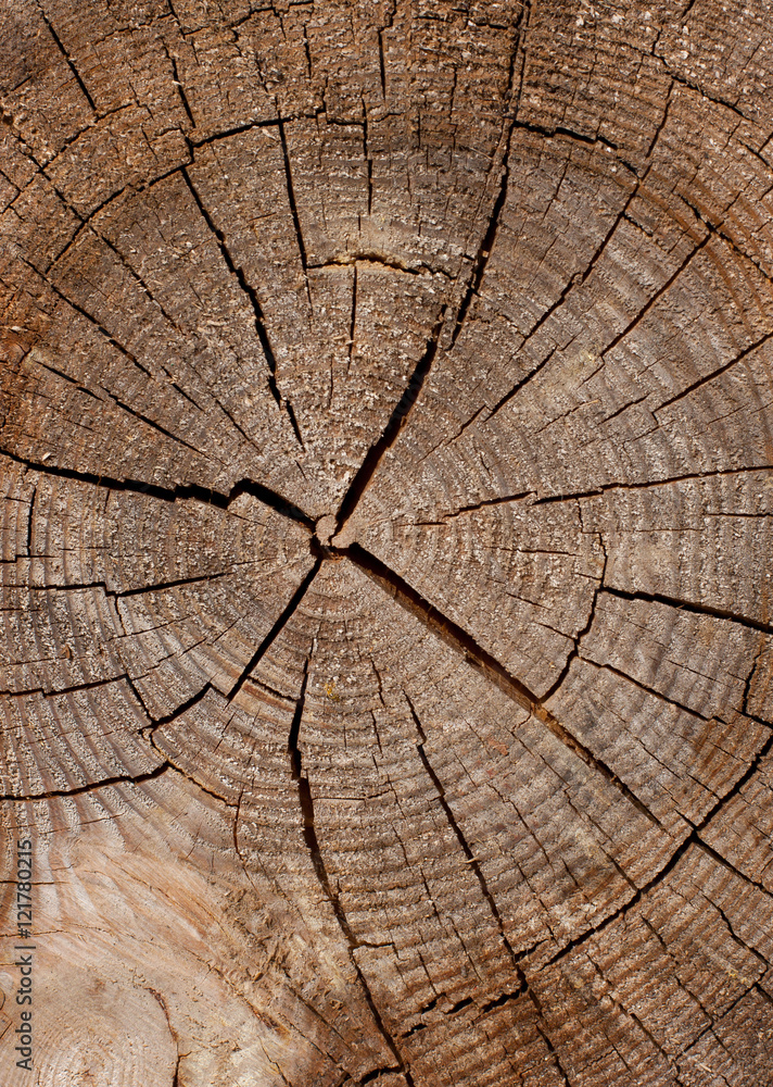 Fototapeta premium wooden texture background